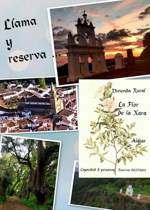 La Flor De La Xara * Alájar